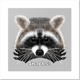 Snaccoon Posters and Art